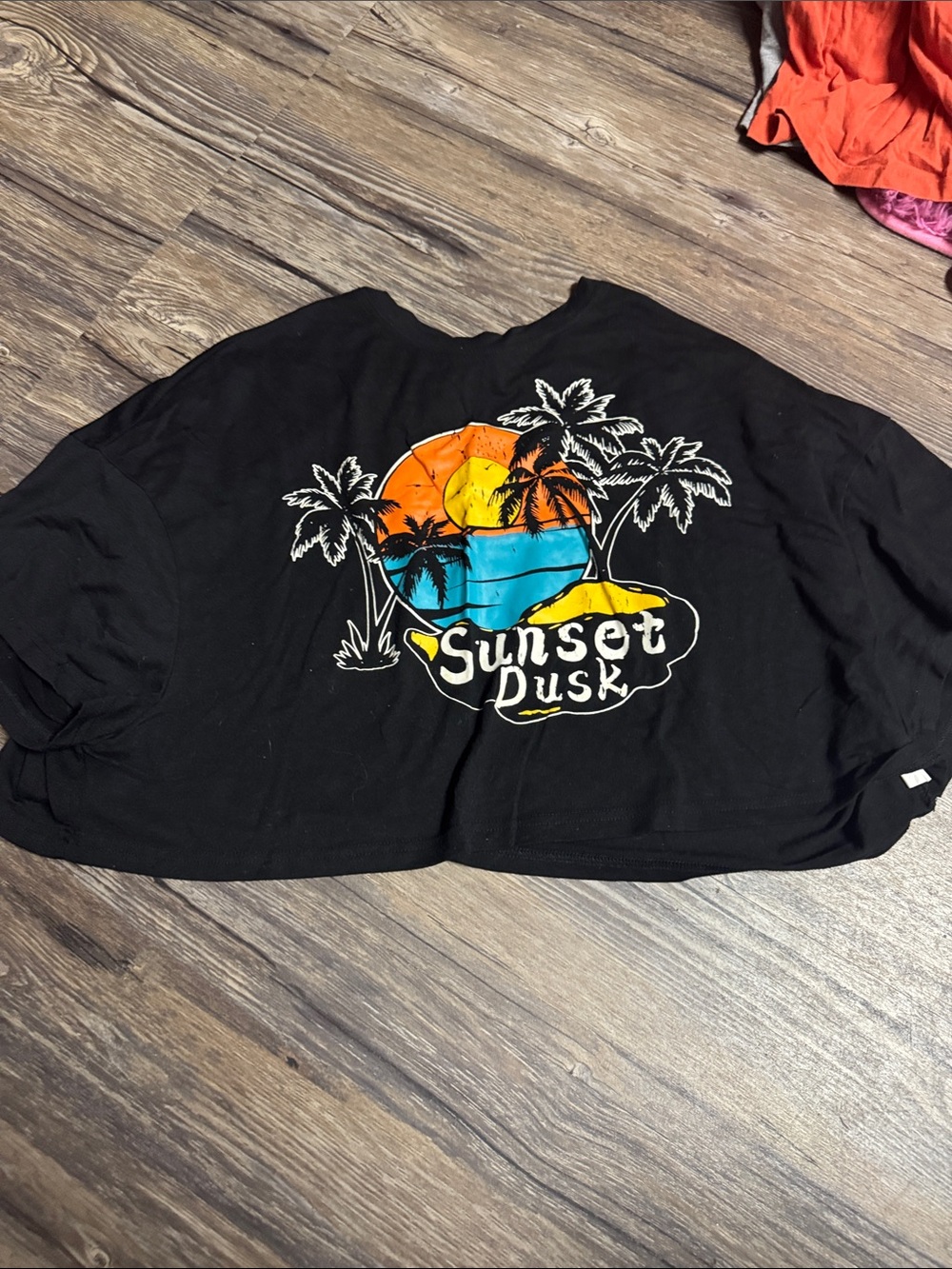 SHEIN Black Crop Top with Sunset Graphic